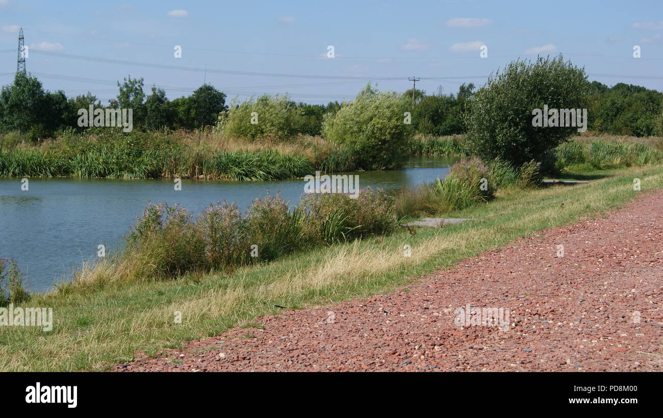 Lago per la pesca Foto Stock