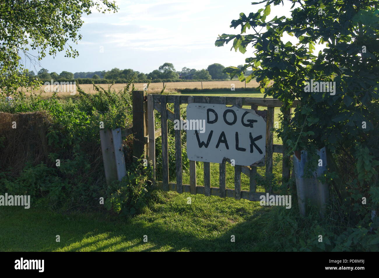 Dog Walk segno sulla gate in campagna Foto Stock