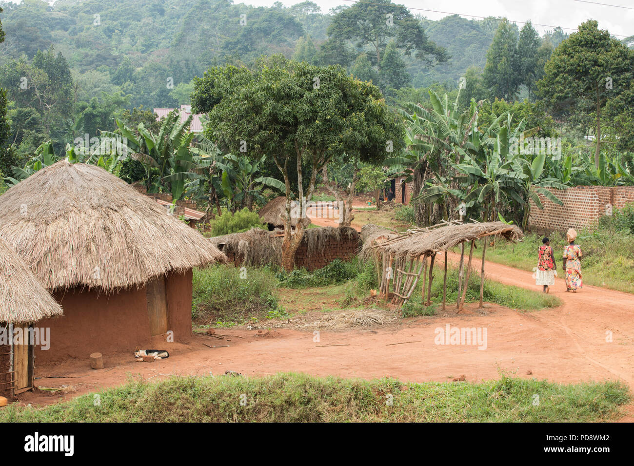Villaggio rurale scena nel distretto di Mukono, Uganda. Foto Stock