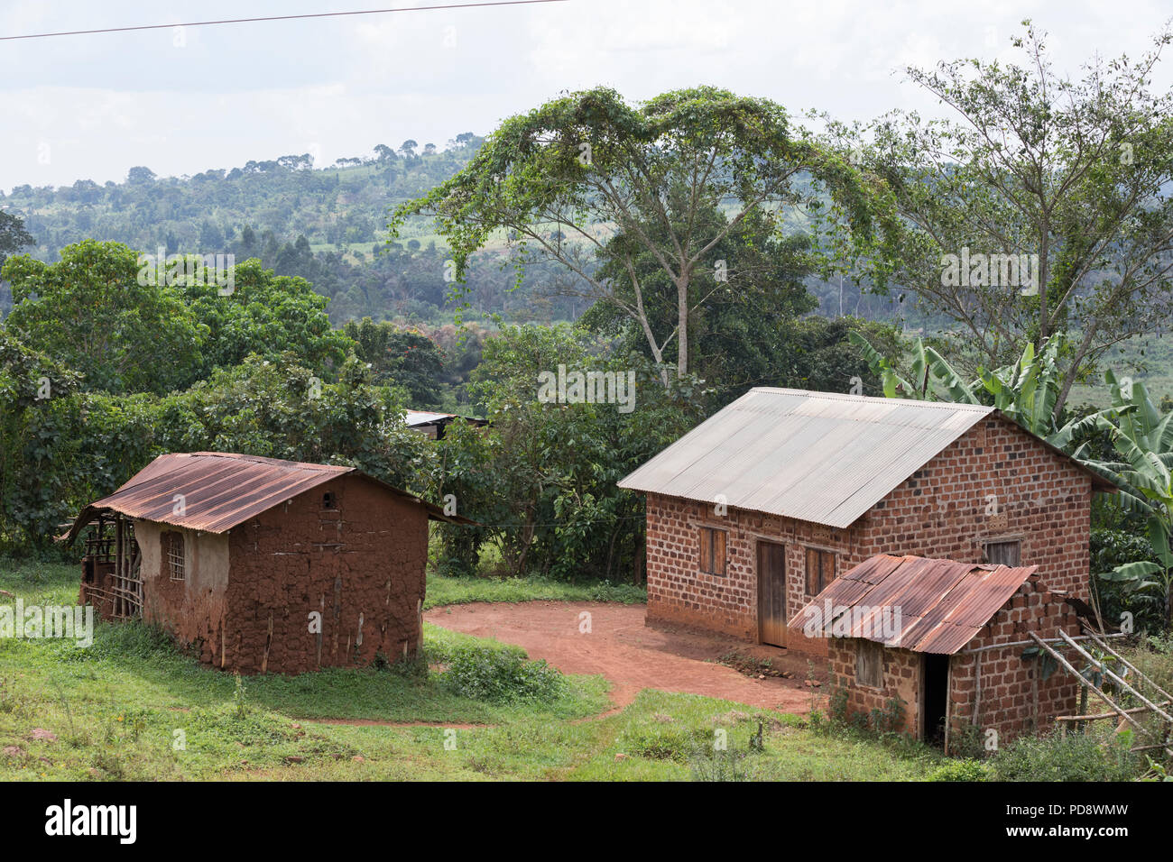 Villaggio rurale scena nel distretto di Mukono, Uganda. Foto Stock