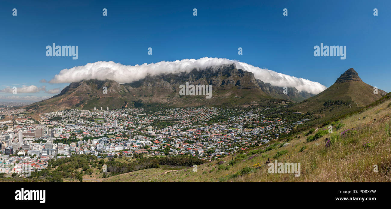 Panoramica della Table Mountain a Cape Town, Sud Africa. Foto Stock