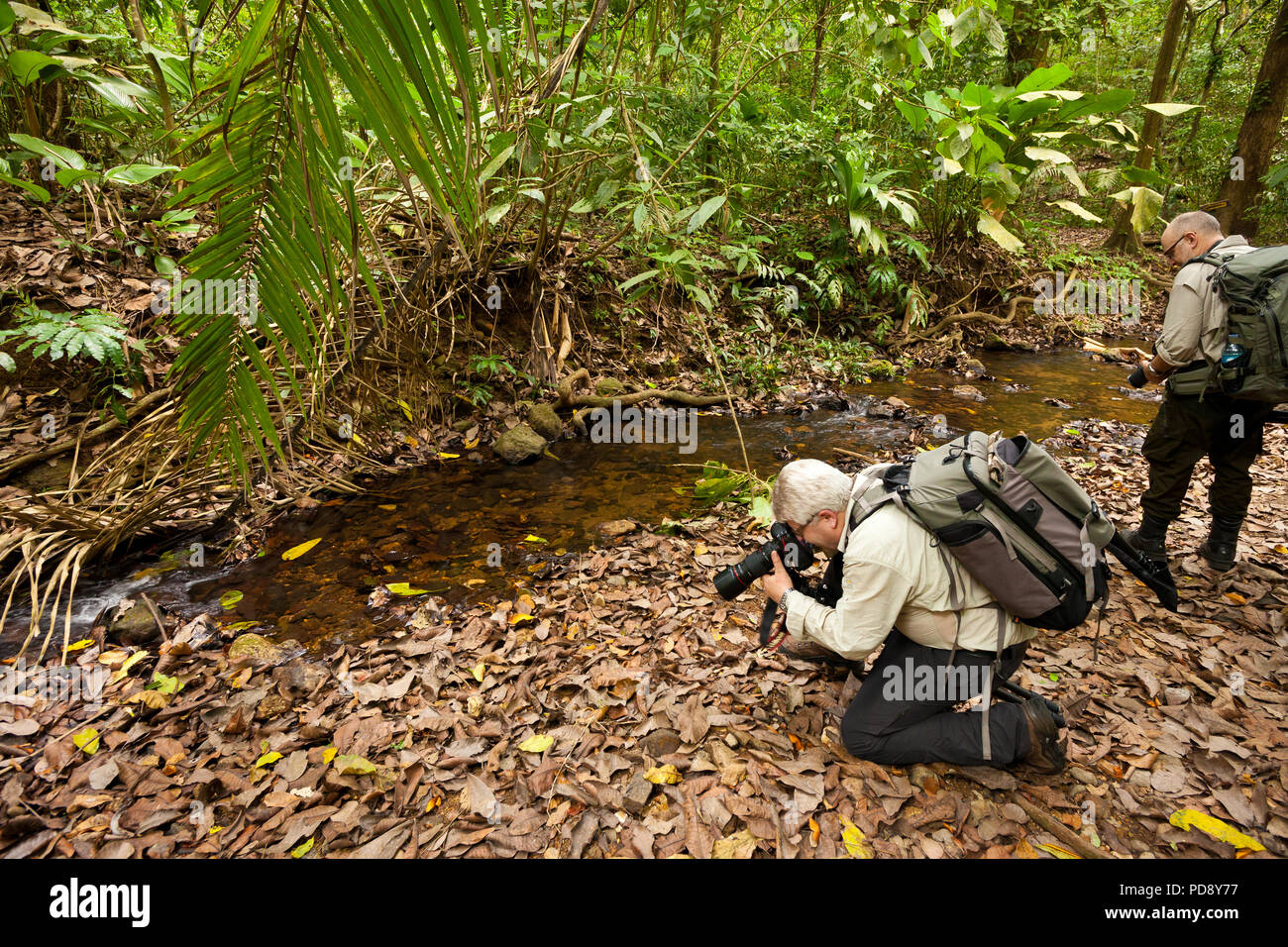 Due fotografi di natura nella foresta pluviale del Parco nazionale di Soberania, Repubblica di Panama. Foto Stock