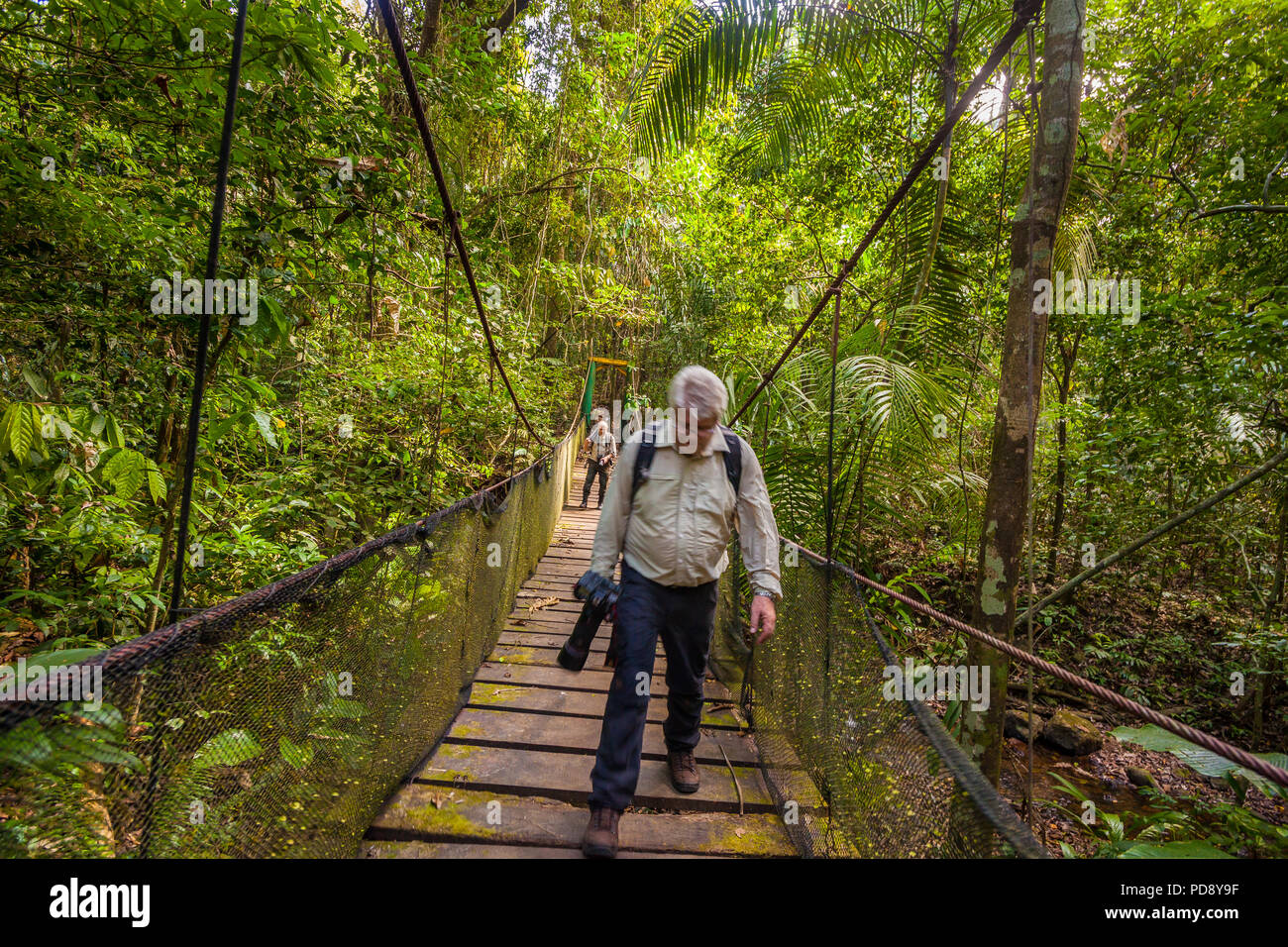 Due fotografi di natura attraversando un ponte di sospensione nella foresta pluviale del Parco nazionale di Soberania, Repubblica di Panama. Foto Stock