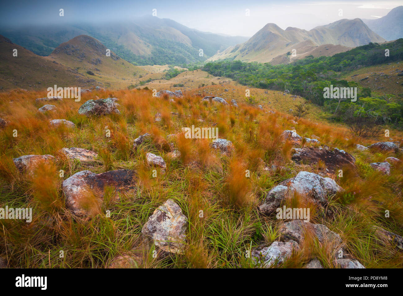 Paesaggio di Panama in una mattinata nebbiosa tra le montagne del parco nazionale di Altos de Campana, versante del Pacifico, Repubblica di Panama, America Centrale. Foto Stock