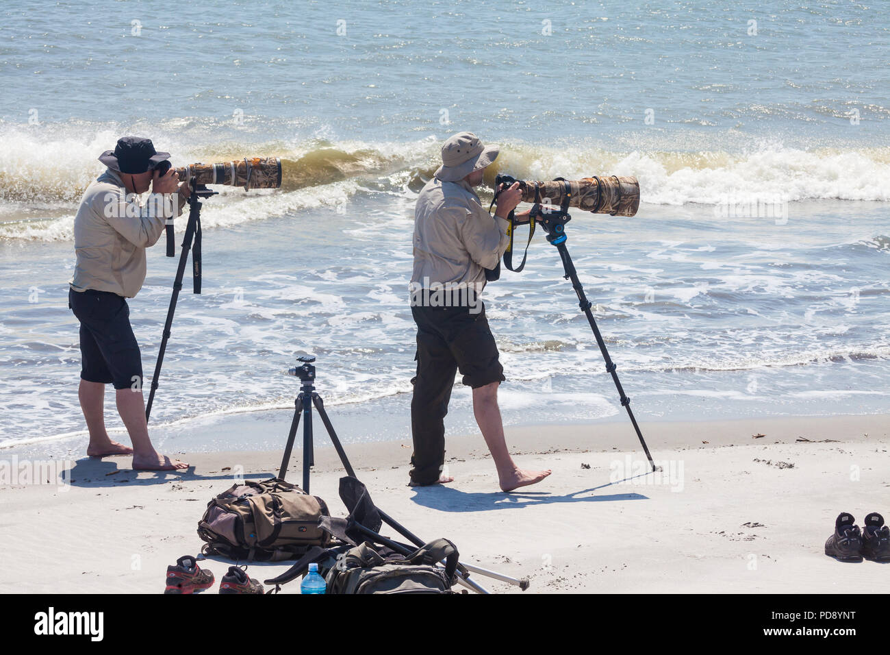 Due fotografi di fauna selvatica con teleobiettivi sulla spiaggia di Punta Chame, Pacific Coast, Repubblica di Panama. Foto Stock