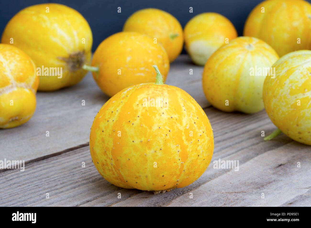 Limone cetrioli, noto anche come Cucumis sativus su un rustico sfondo di legno. Foto Stock