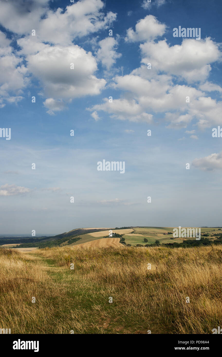 Vista estiva del South Downs e Clayton mulini a vento in lontananza da Wolstonbury Hill - West Sussex, Regno Unito Foto Stock