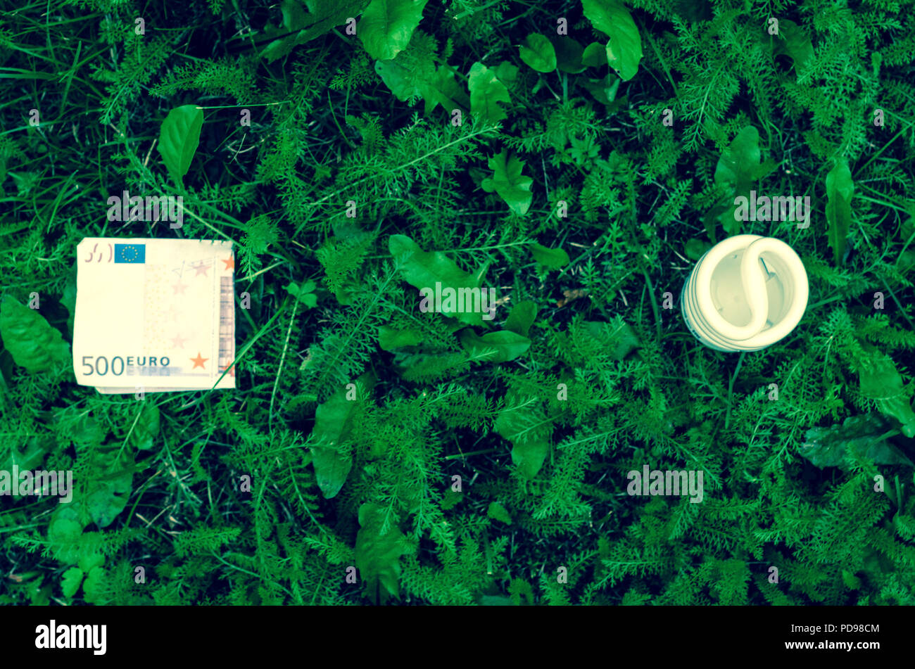 Risparmio energetico lampada e di banconote in euro sul verde scuro dello sfondo di erba. Foto Stock