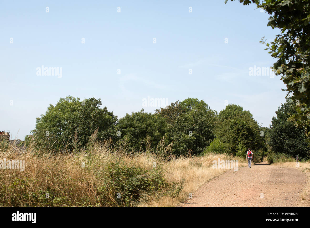 Una persona che cammina verso Highgate da Finsbury Park sul Parco a piedi, una riserva naturale a Haringey Londra Nord Foto Stock