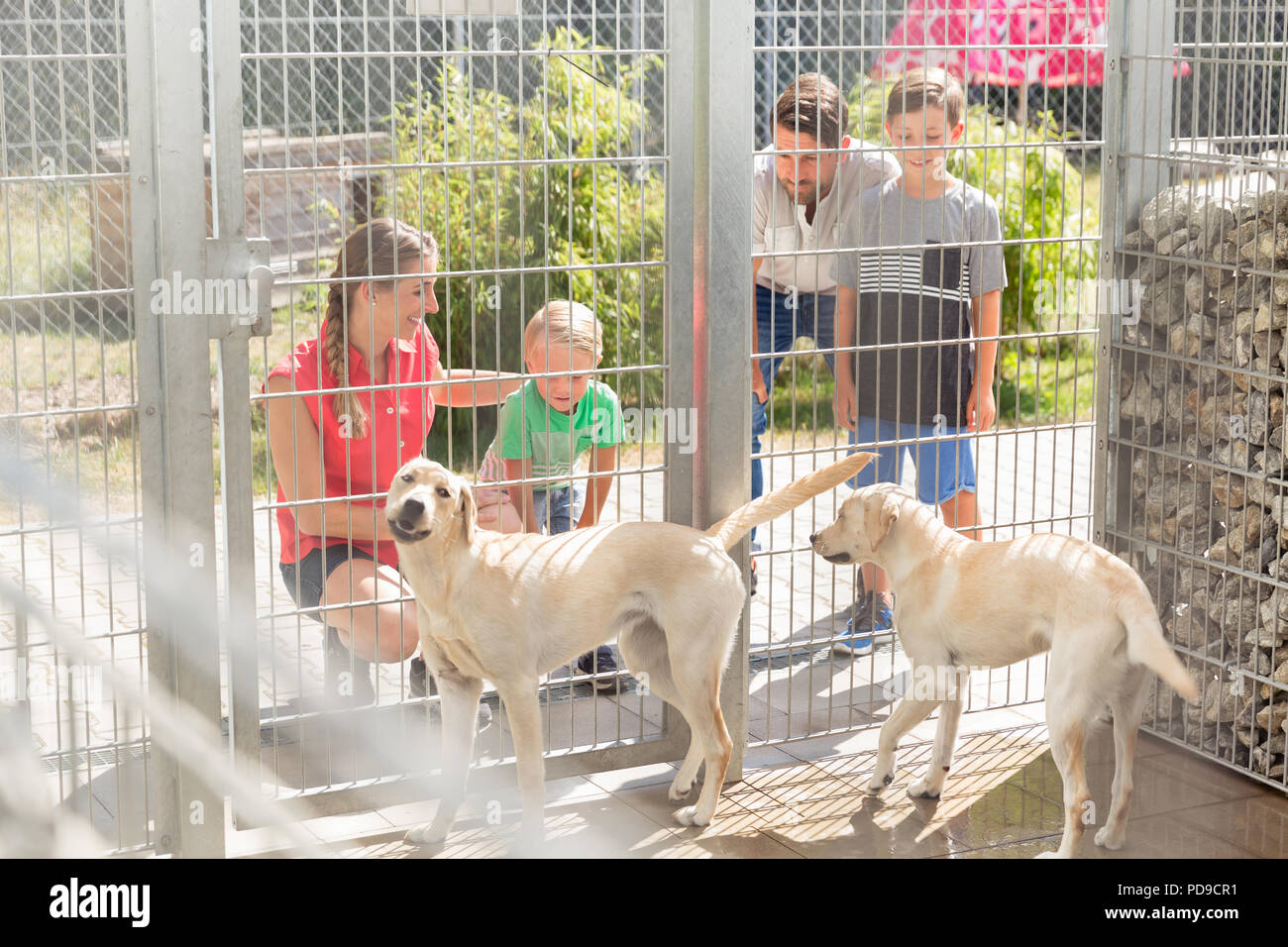 Famiglia di conoscere i cani in animal shelter Foto Stock