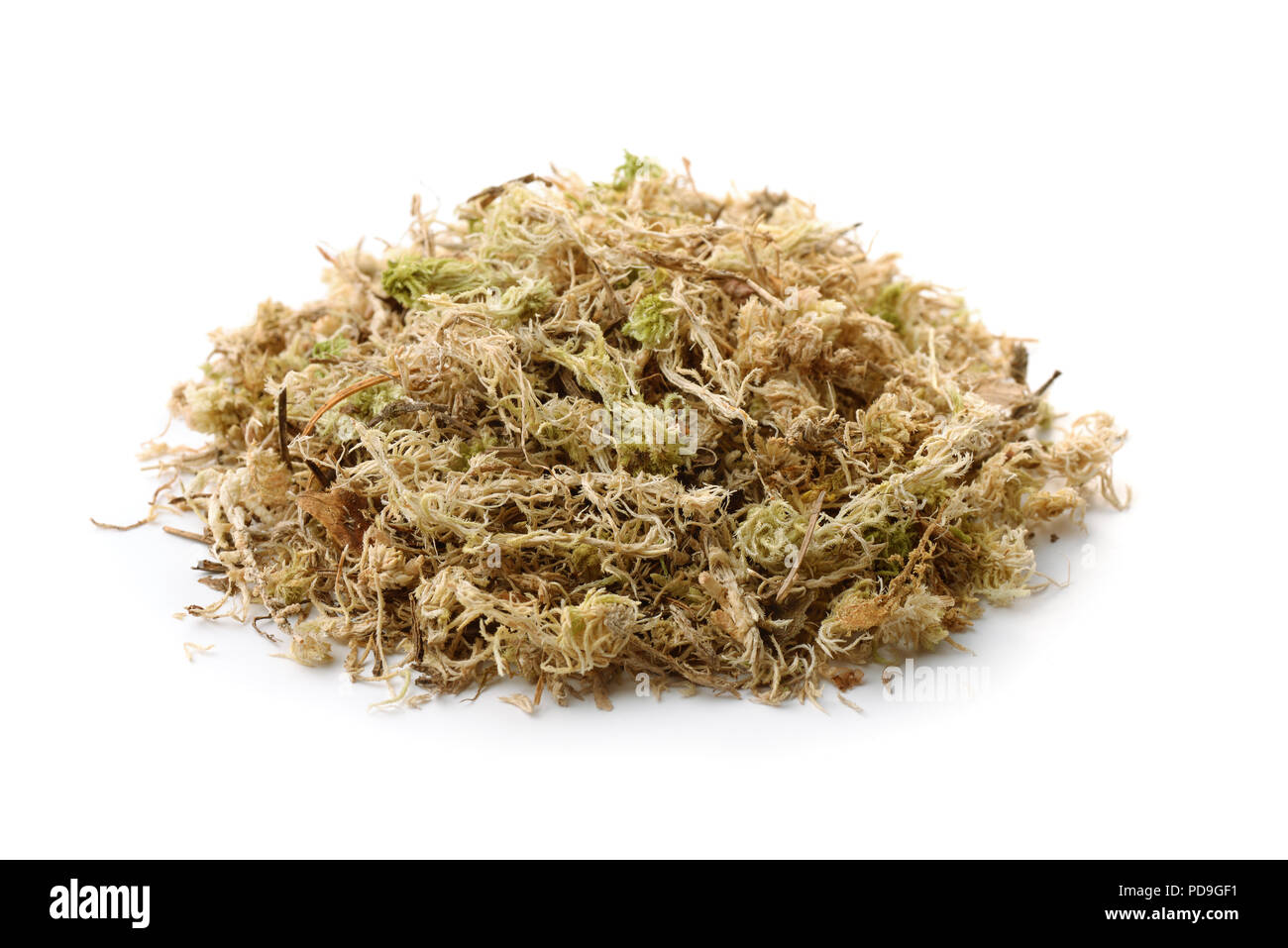 Pila di asciugare sphagnum moss isolato su bianco Foto Stock