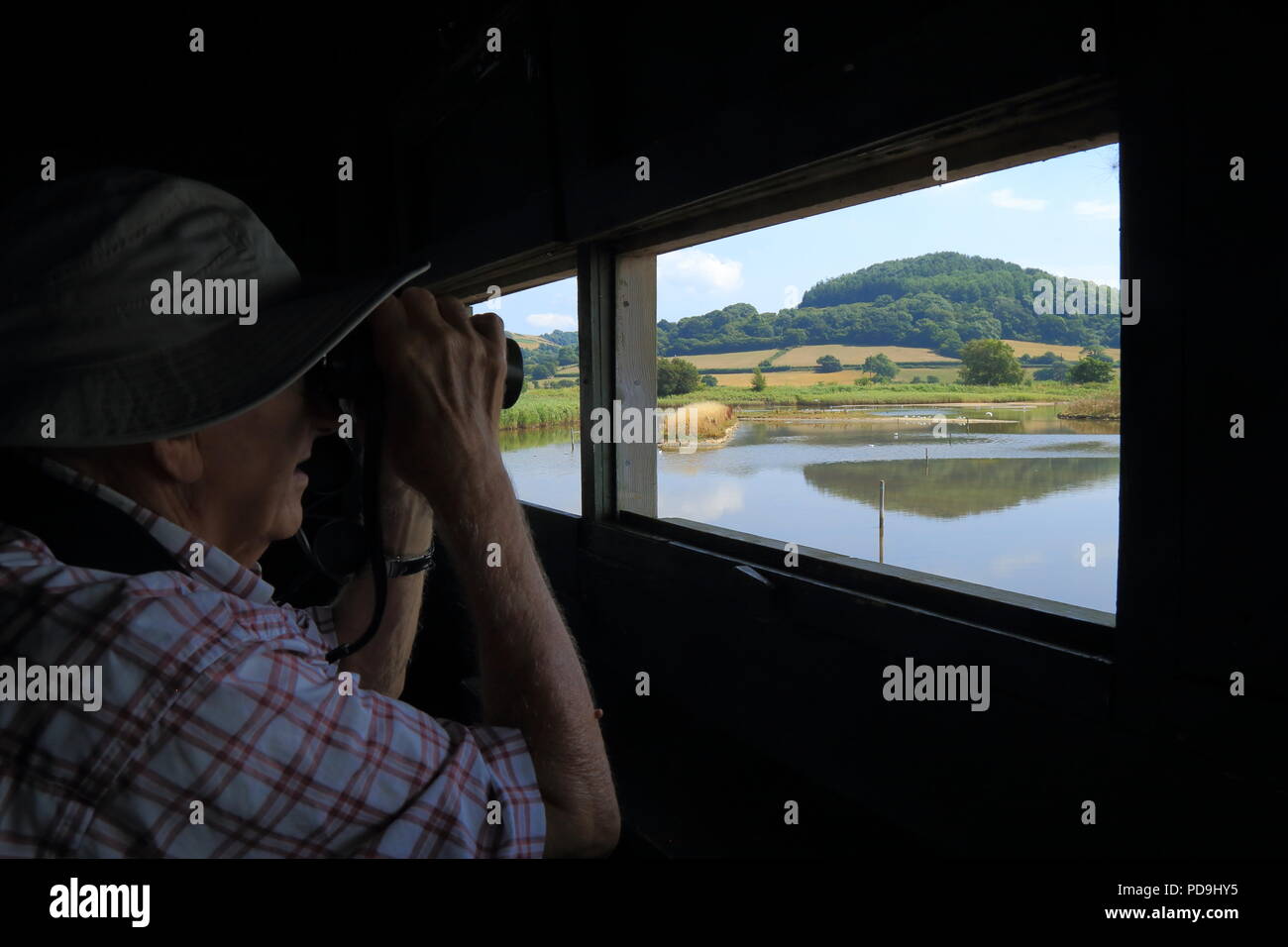 Osservazione degli uccelli all'interno dell'isola nascondere nel buco nero Marsh natura locale riserva nel Devon Foto Stock