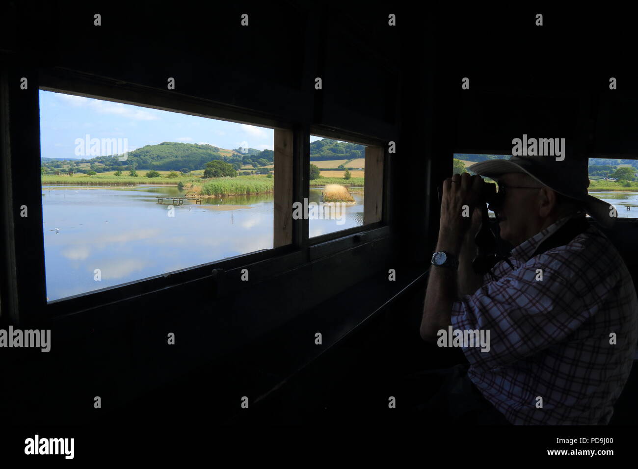 Osservazione degli uccelli all'interno dell'isola nascondere nel buco nero Marsh natura locale riserva nel Devon Foto Stock