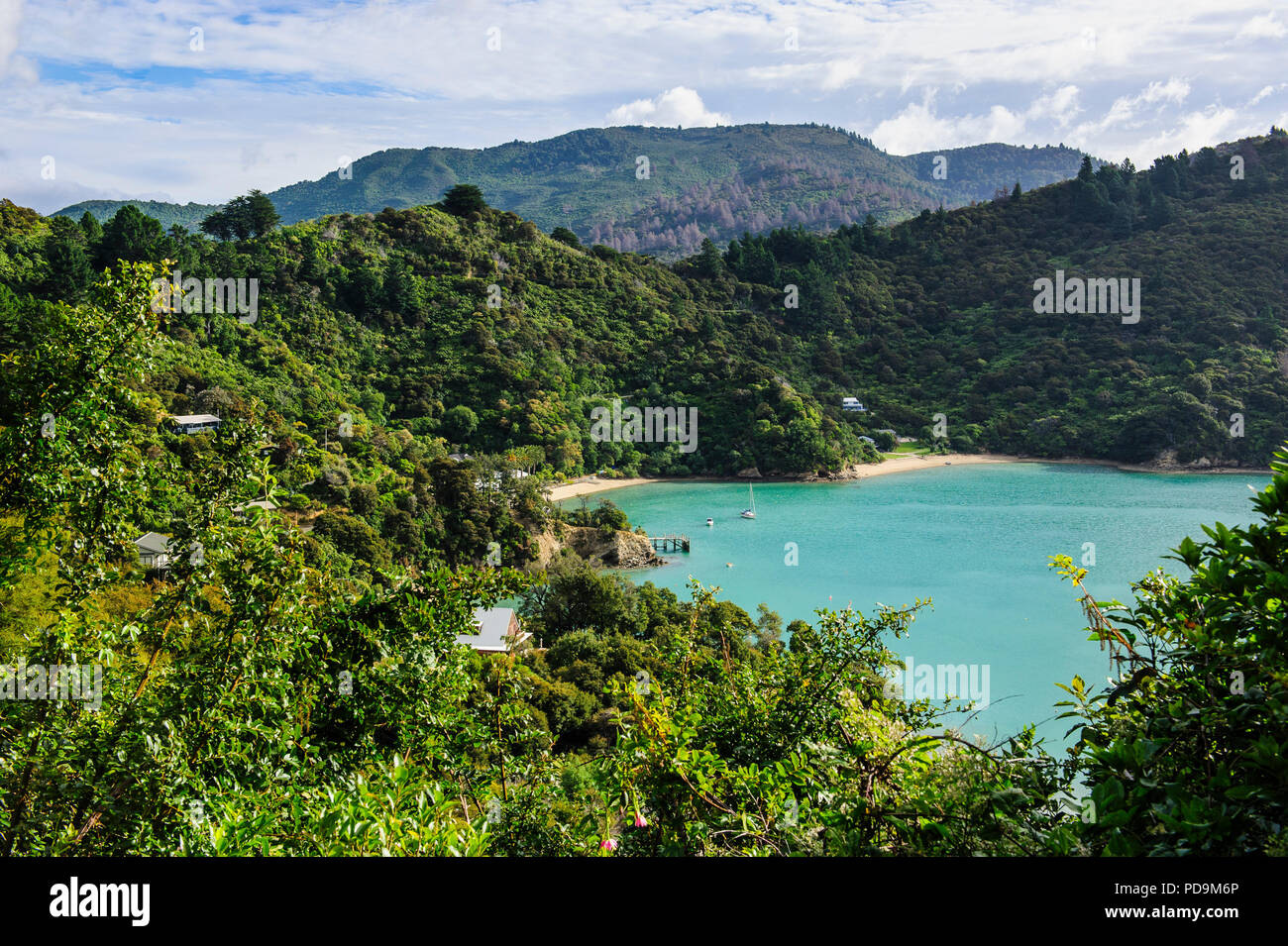 Vista sopra il Marlborough Sounds, Isola del Sud, Nuova Zelanda Foto Stock