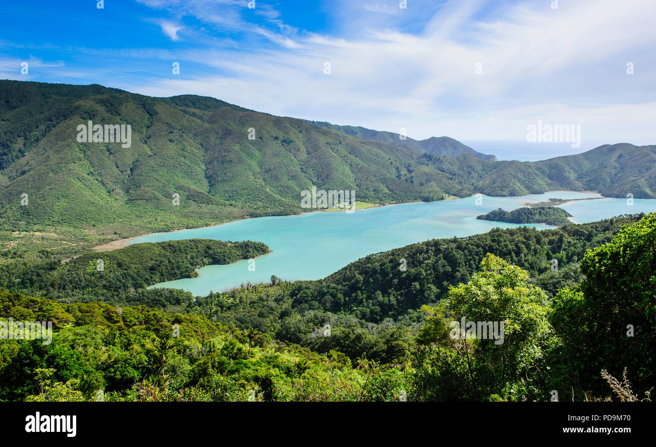 Vista sopra il Marlborough Sounds, Isola del Sud, Nuova Zelanda Foto Stock