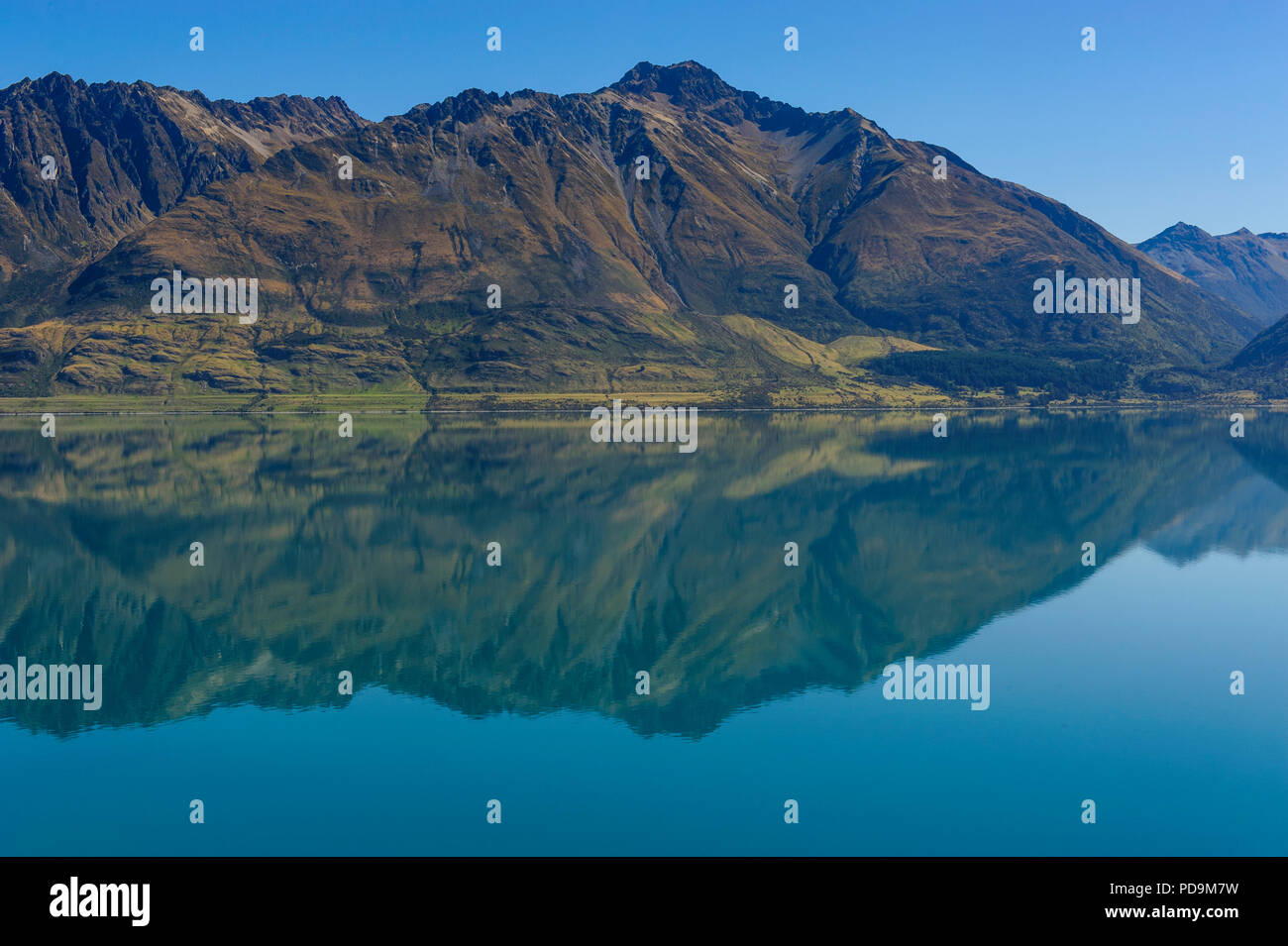 Lago Wakaipu, intorno a Queenstown, Isola del Sud, Nuova Zelanda Foto Stock