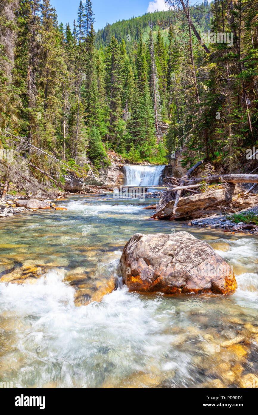 Cascate impetuose noto come stella cade fluisce nel Canyon Johnston creek a Banff National Park in Alberta, Canada. Canyon Johnston è un popolare hikin Foto Stock