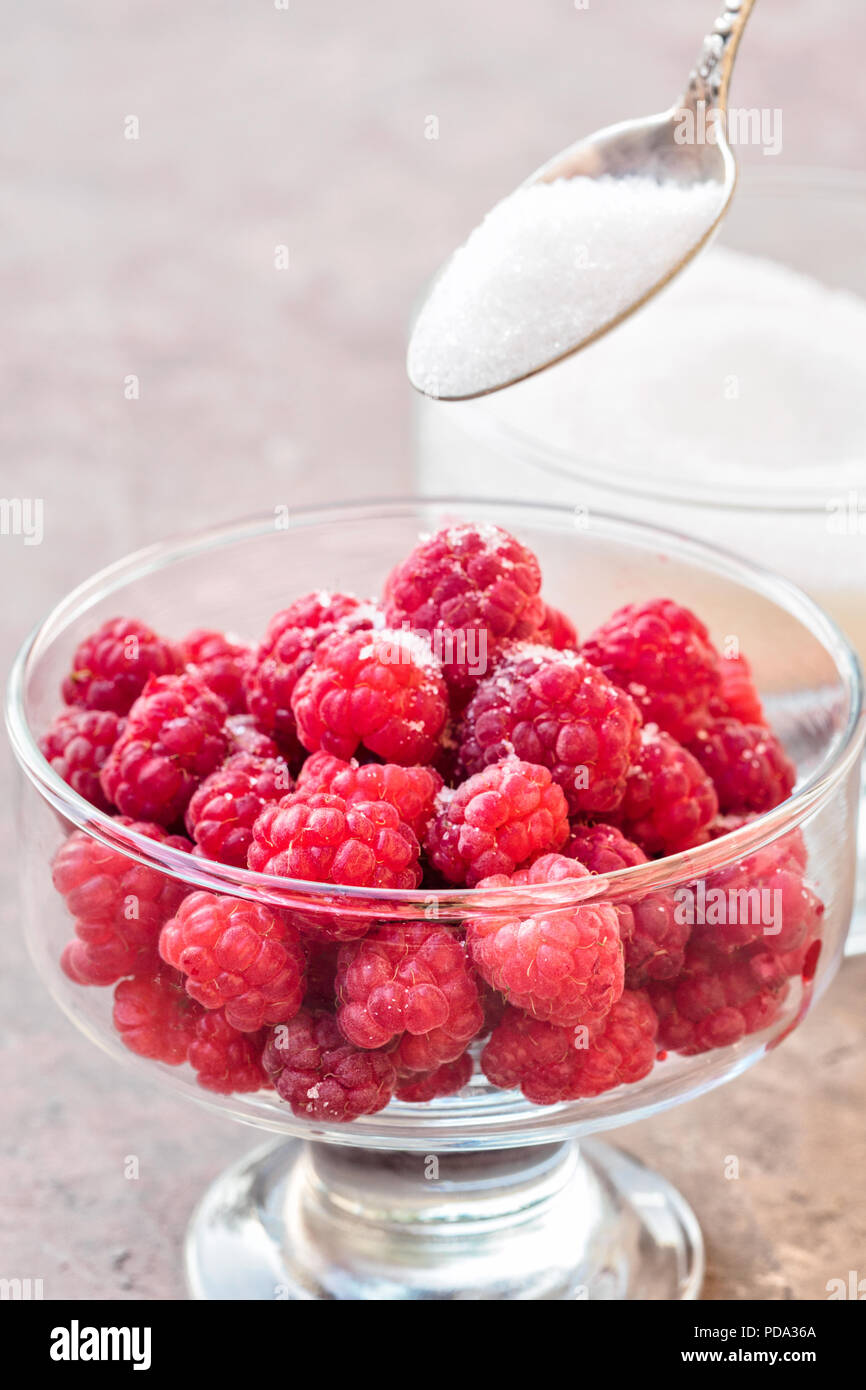 Bicchiere di lamponi freschi spolverati con zucchero bianco gastronomia giardinaggio harvest Foto Stock