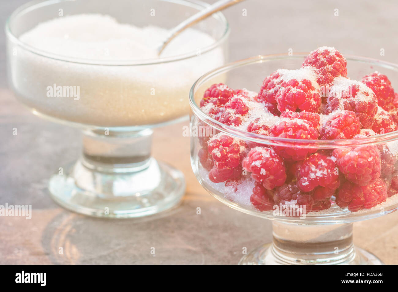 Bicchiere di lamponi freschi spolverati con zucchero bianco gastronomia giardinaggio harvest Foto Stock