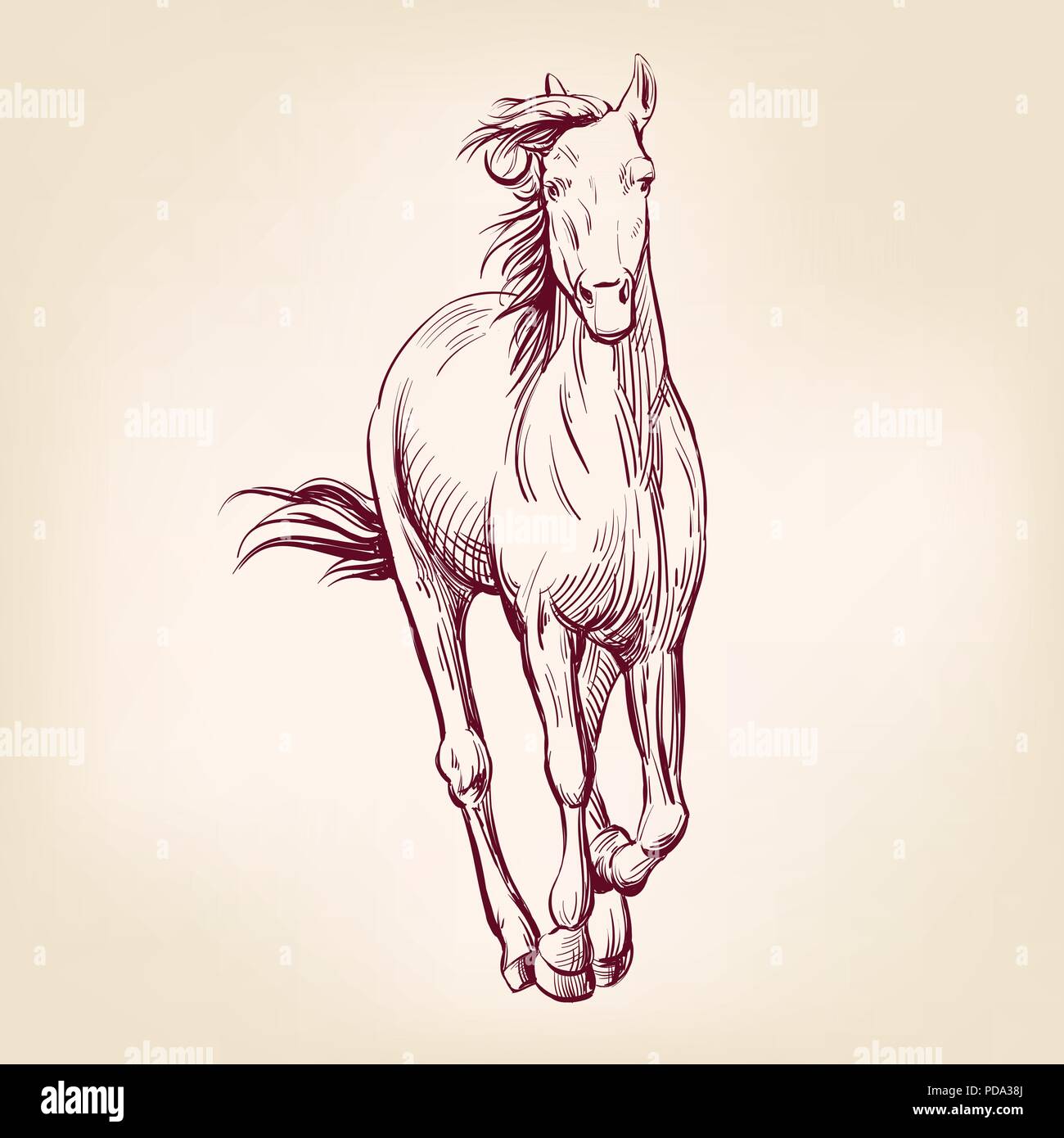 Cavallo disegnato a mano llustration vettore schizzo Illustrazione Vettoriale