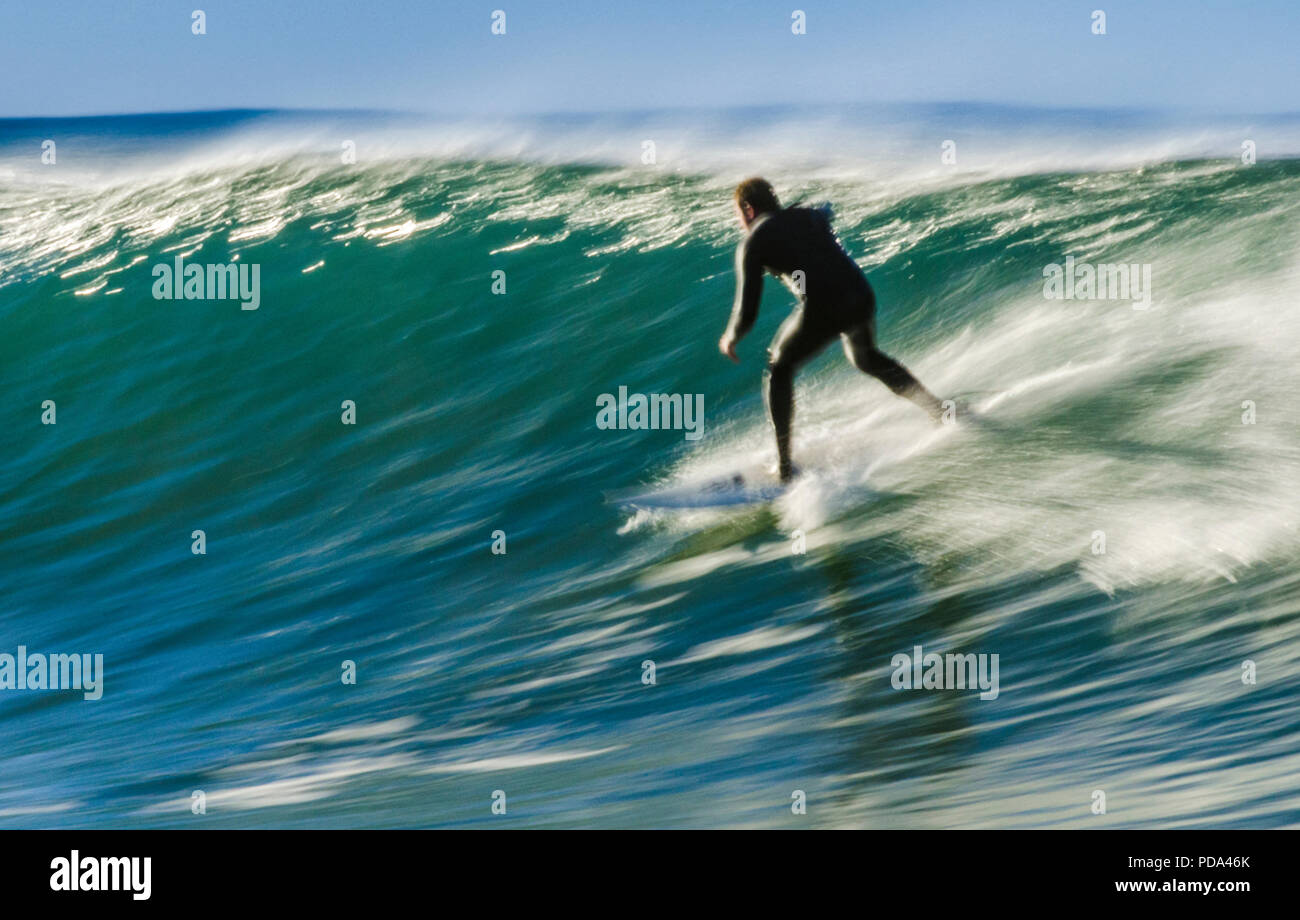 Surfista che si allarina lungo un'onda a Bells Beach, Great Ocean Road, Victoria, Australia Foto Stock