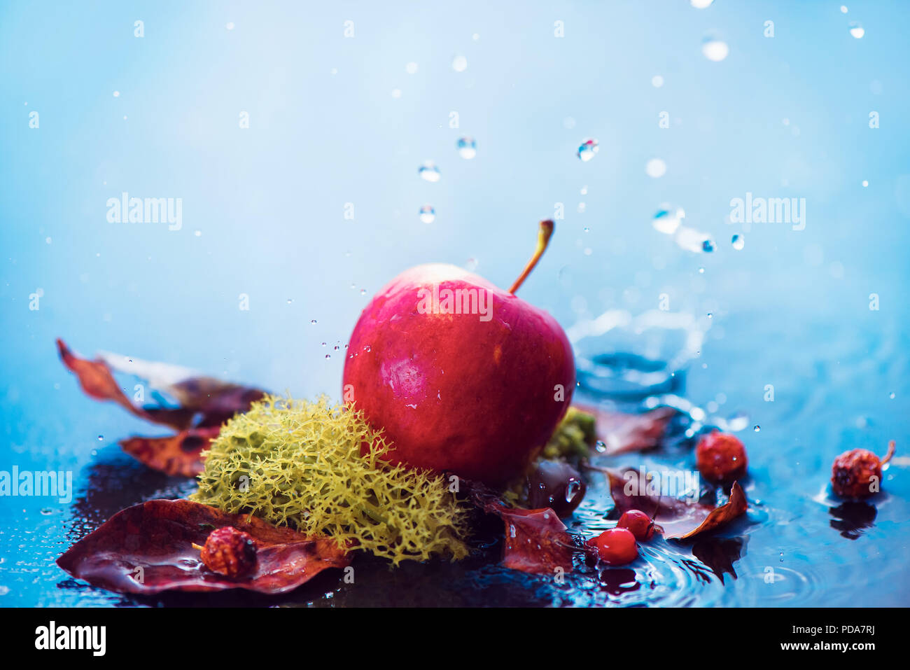 In autunno le mele sotto la pioggia. La raccolta autunnale testata con gocce di acqua e copia dello spazio. Fresca e ariosa concettuale fotografia di cibo Foto Stock