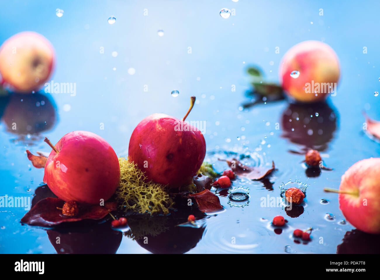 In autunno le mele sotto la pioggia. La raccolta autunnale testata con gocce di acqua e copia dello spazio. Fresca e ariosa concettuale fotografia di cibo Foto Stock