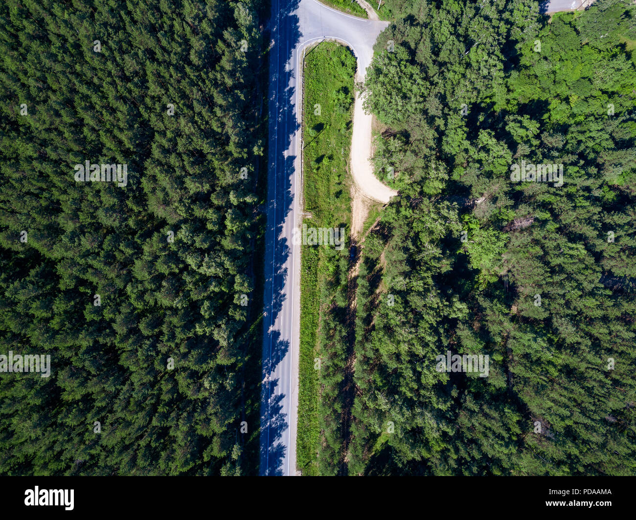 Strada nella foresta, bosco misto su entrambi i lati, cime di alberi di pino e betulla, antenna fuco vista dall'alto in basso, Russia Foto Stock