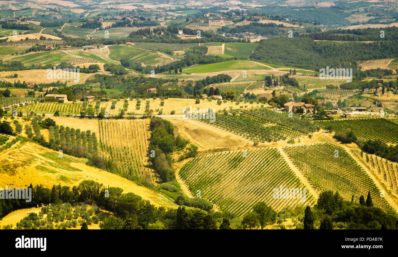 Bella Toscana paesaggio con sacco di vigneti in tutto il paese Foto Stock