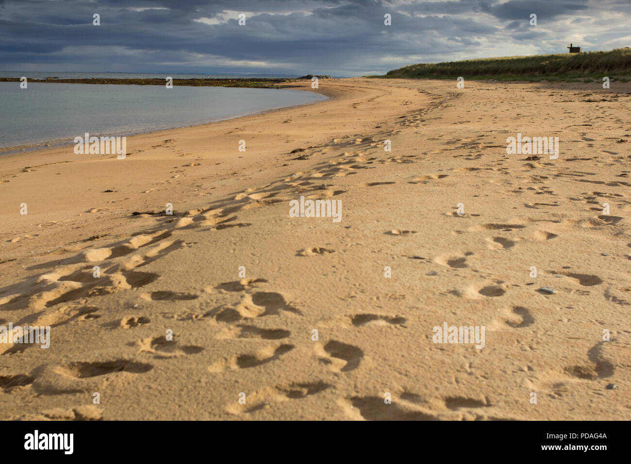 Una deserta spiaggia sabbiosa durante una giornata di sole in Sutherland, Highlands della Scozia. Foto Stock