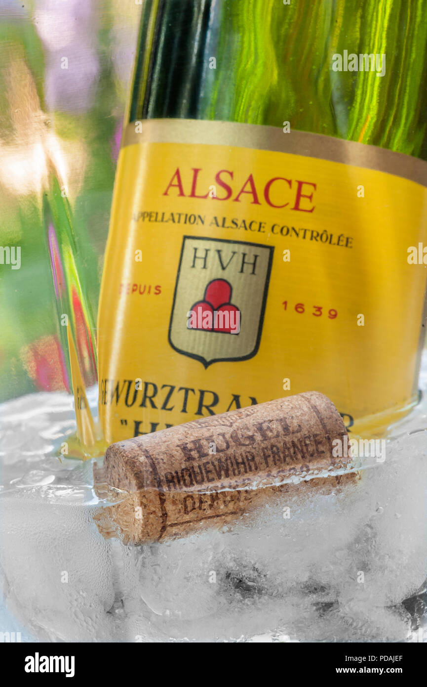 VINO ALSAZIA 'Hugel' Gewurztraminer bottiglia di vino bianco e sughero nel refrigeratore del vino in giardino floreale all'aperto Riquewihr Alsazia Francia Foto Stock