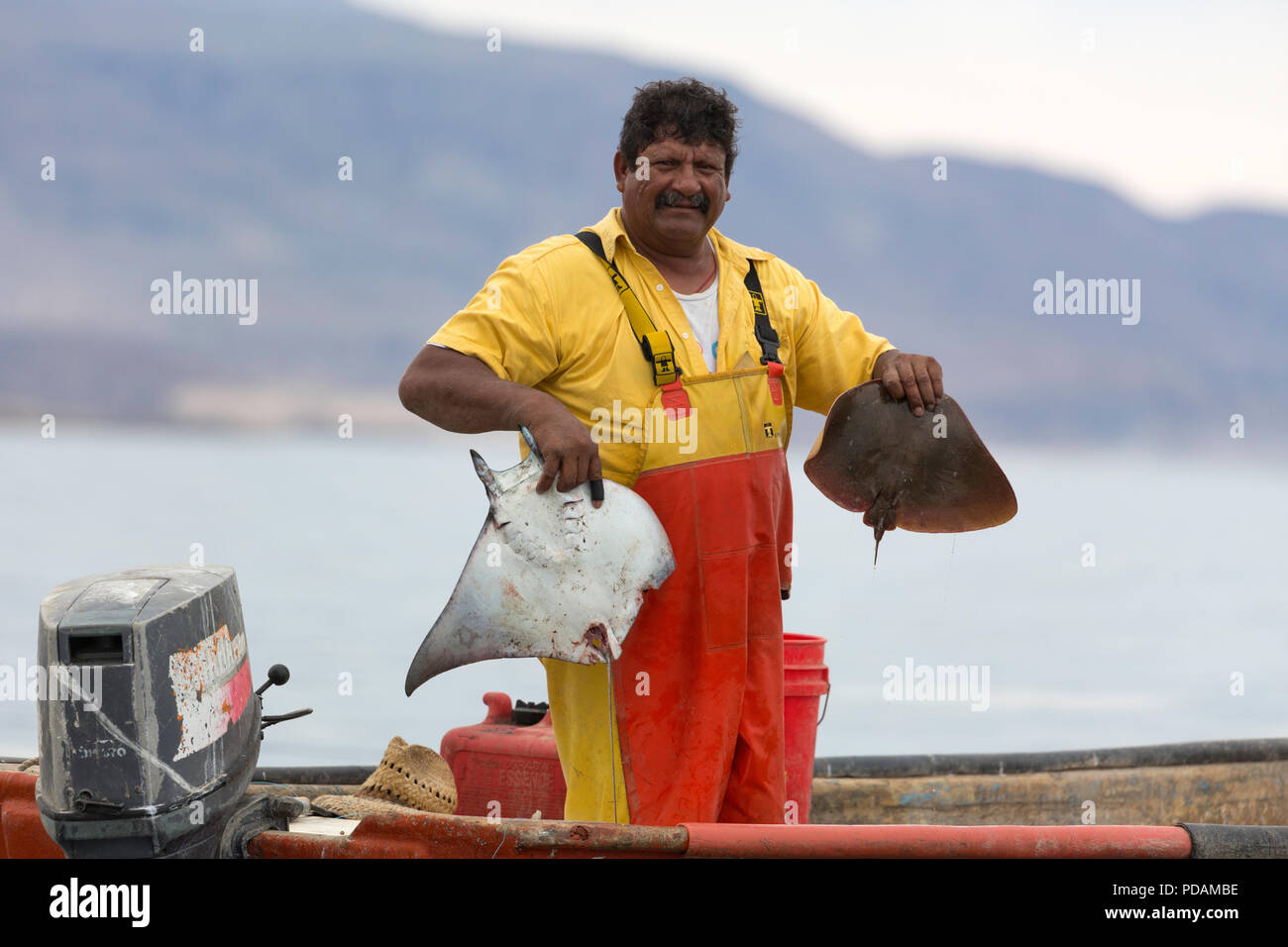 Local panga pescatore con la sua giornata di cattura nei pressi di Santa Rosalia, Baja California Sur, Messico. Foto Stock