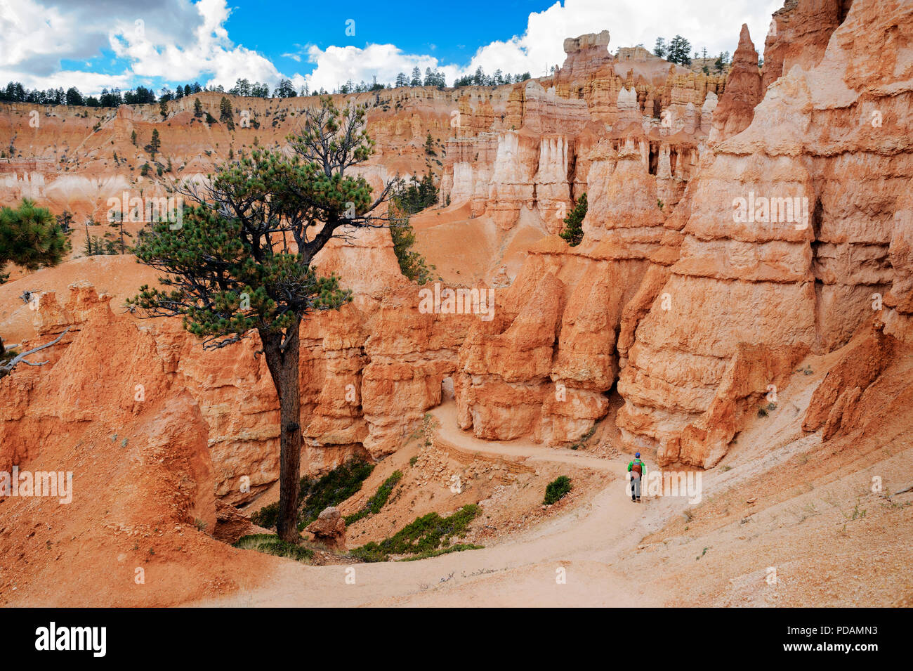 Escursionista solitario camminando sul Queens Garden Trail, Parco Nazionale di Bryce Canyon, Utah. Foto Stock