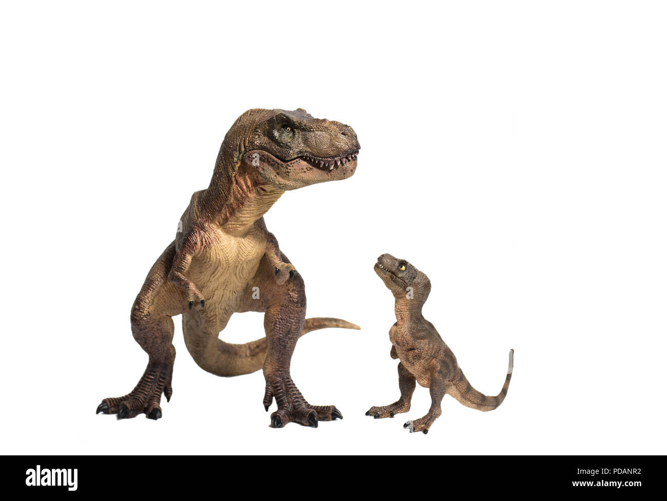 Tirannosauro Rex con baby t-rex isolati su sfondo bianco Foto Stock