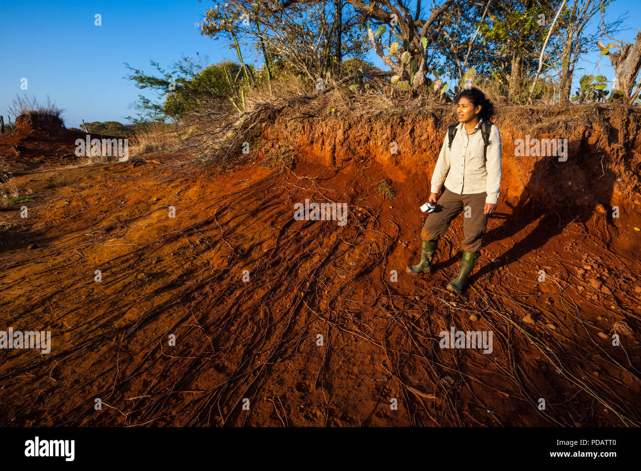 Paesaggio di Panama con suolo eroso nel deserto di Sarigua, provincia di Herrera, Repubblica di Panama, America Centrale. Foto Stock