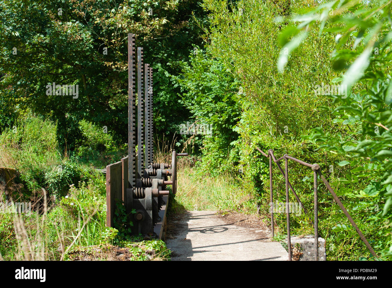 Paratoie sul fiume Wylye a Longbridge Deverill, Warminster, Wiltshire, Regno Unito. Foto Stock
