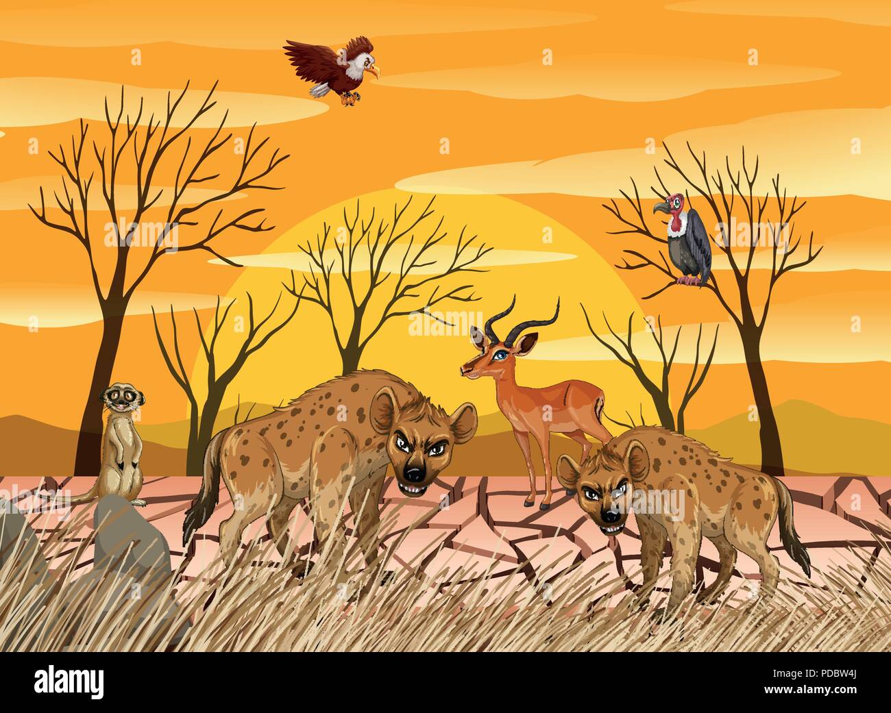 Gli animali selvatici che vivono in terra asciutta illustrazione Illustrazione Vettoriale