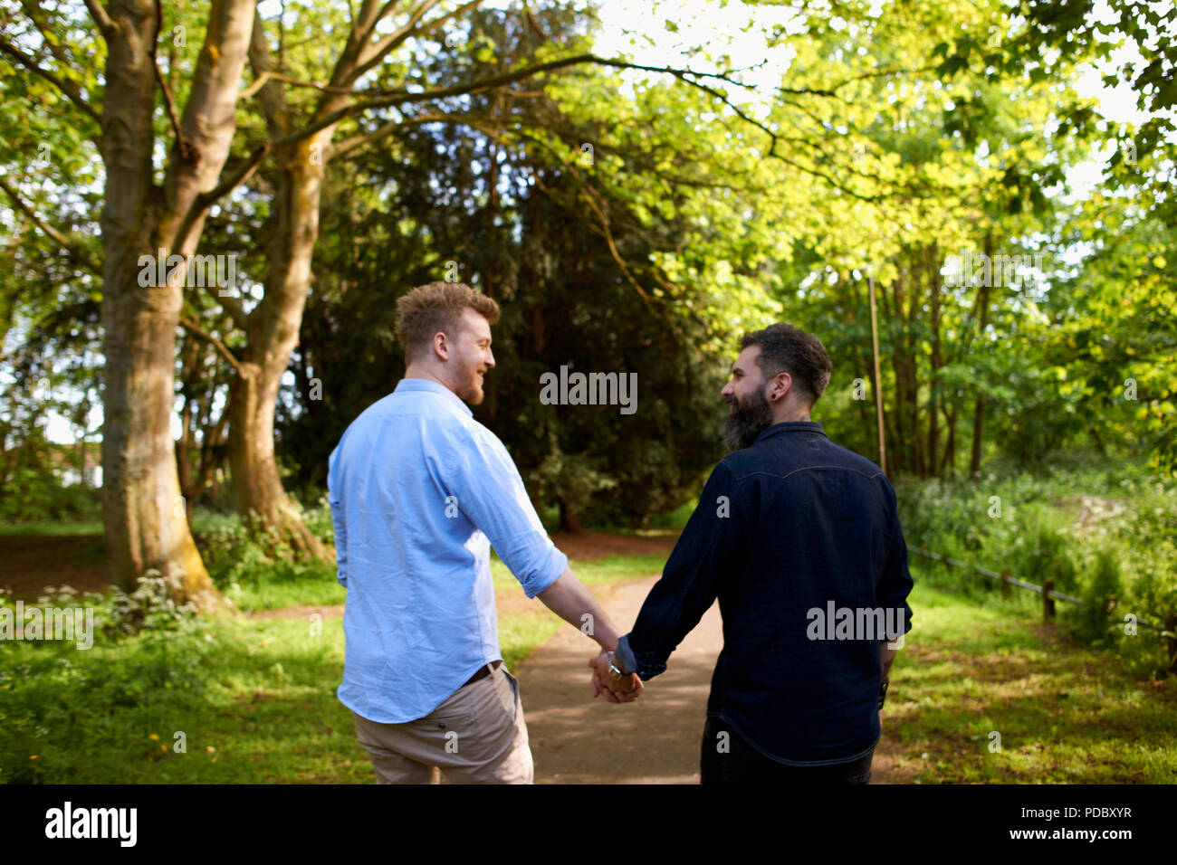 Maschio affettuoso coppia gay tenendo le mani nel soleggiato parco Foto Stock