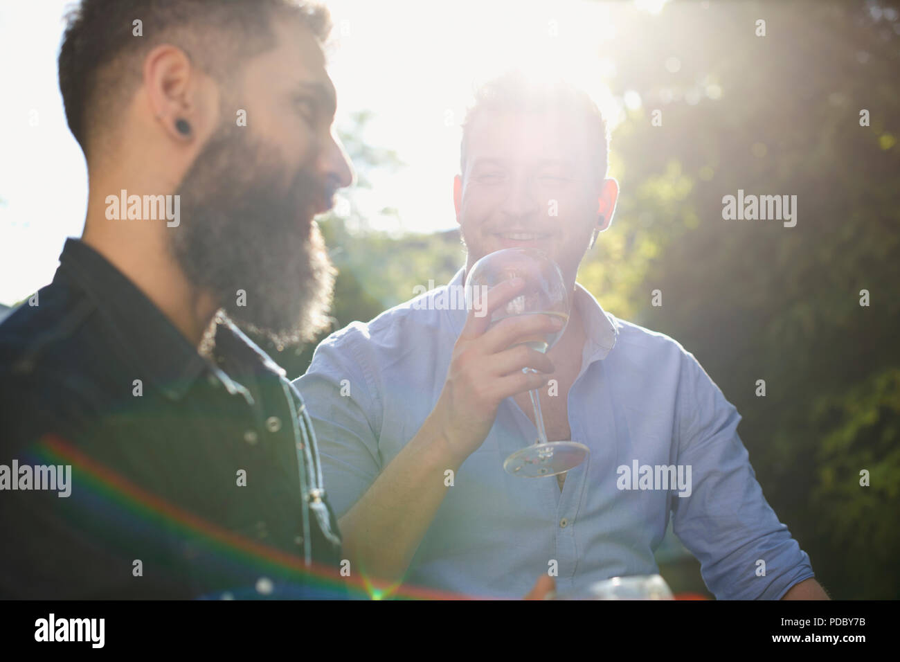 Maschio di coppia gay bere il vino e a parlare Foto Stock