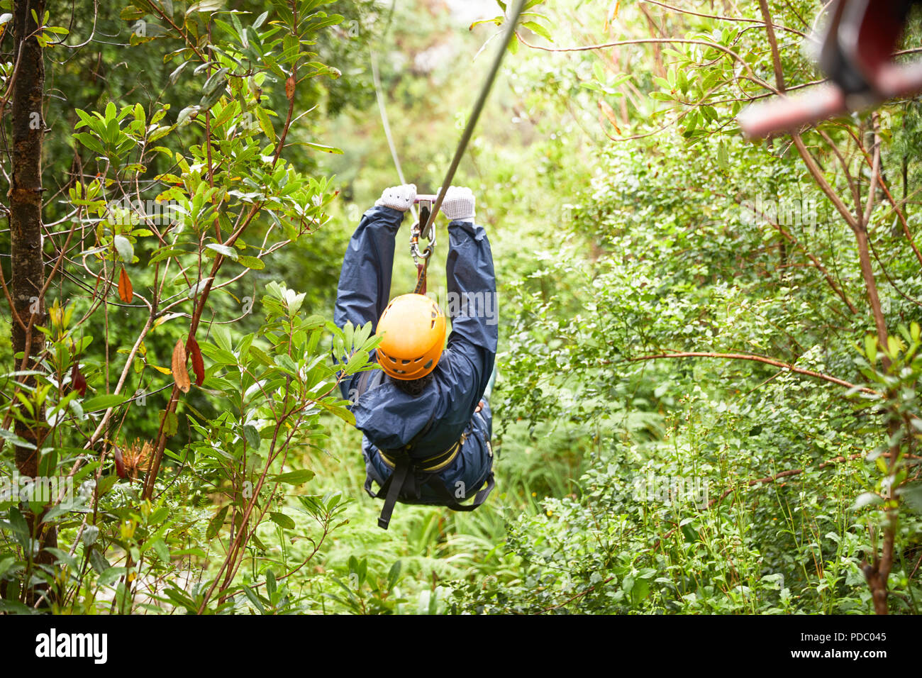 Donna fodera zip tra alberi di boschi Foto Stock