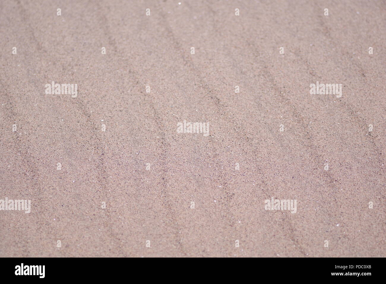 Ripple Eolie contrassegni sulla bella spiaggia di sabbia. Sfondo naturale. Dawlish Warren Riserva Naturale, Devon, Regno Unito. Agosto, 2018. Foto Stock