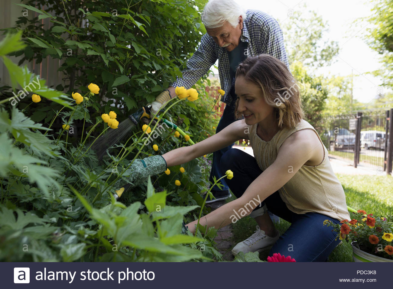 Senior padre e figlia del giardinaggio Foto Stock