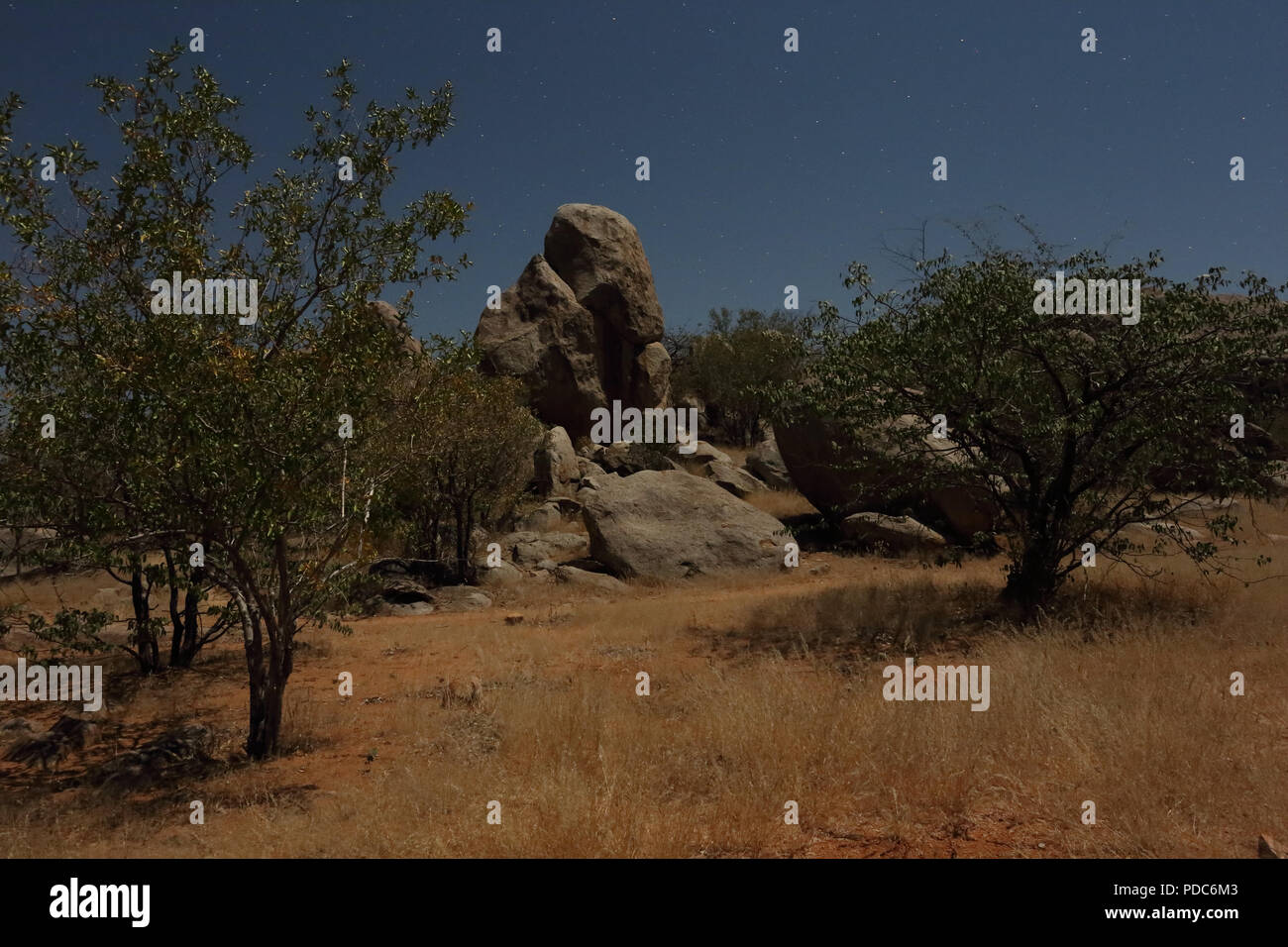 Al chiaro di luna affioramento di granito sorge tra alberi di mopani, Hoada campeggio, Damaraland, Namibia. Foto Stock
