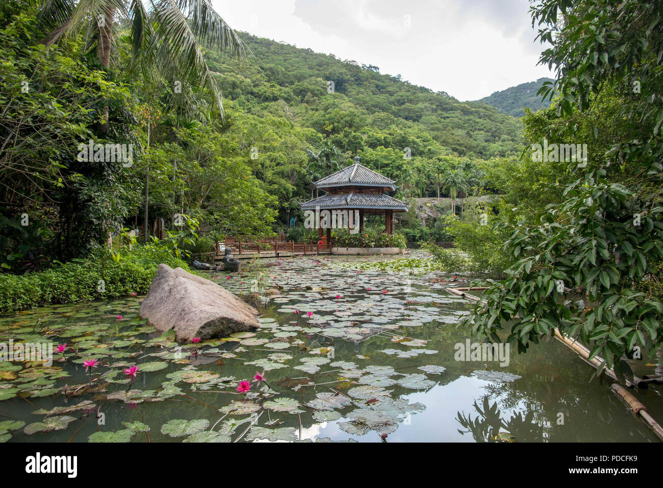 Sanya Sanya, Cina. Il 9 agosto, 2018. Sanya, CINA-Yalong Bay, conosciuta anche come la Nazionale di Yalong Bay Resort è situato nella città di Sanya, Cina del sud della provincia di Hainan. Yalong Bay centri su una a forma di mezzaluna spiaggia di sabbia bianca di circa 7 mila metri. L'acqua di mare nella baia di Yalong è il più pulito tra spiagge di Sanya. Il mare al largo della spiaggia è così chiaro che la visibilità possono raggiungere quasi 10 metri, il che la rende ideale per i subacquei che sono attratti verso la vicina barriera corallina. Yalong Bay gode di un clima mite tutto l'anno, con nessun distinte stagioni e lunghi tratti di calda incantesimi. (Credito Immagine: © SIPA Foto Stock