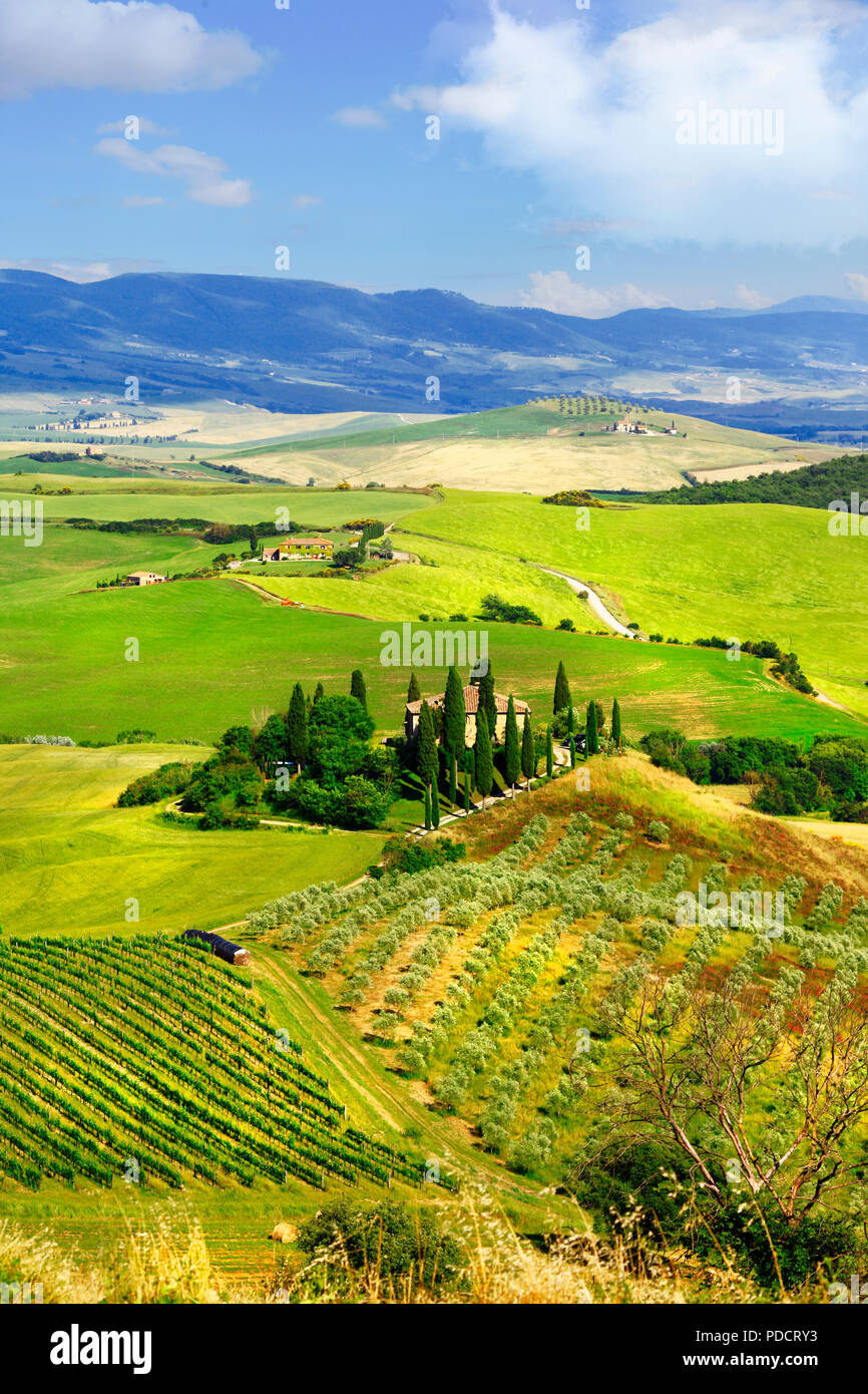 Suggestivo paesaggio della Toscana,vista panoramica,Val d' Orcia,l'Italia. Foto Stock