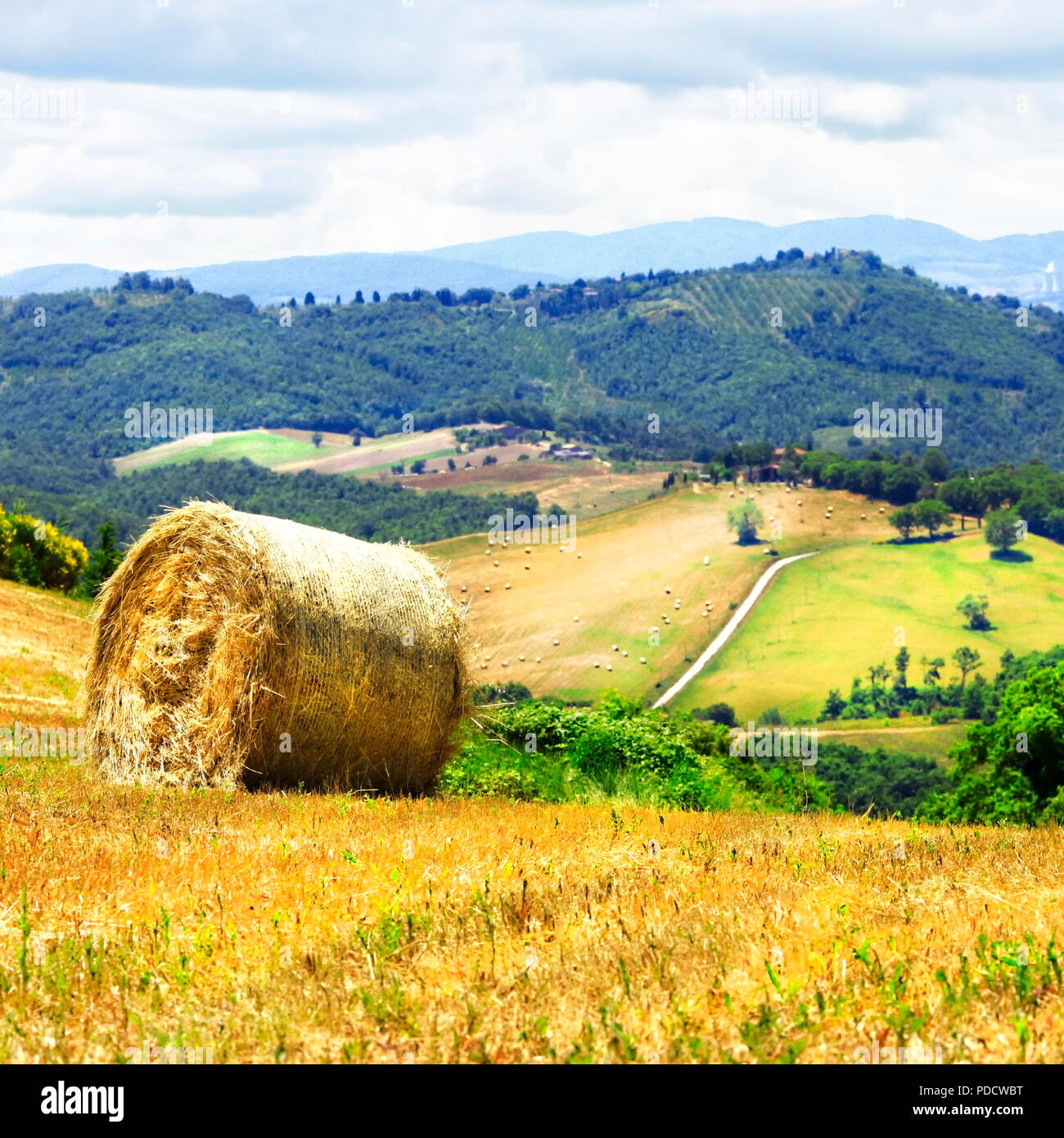 Impressionante paesaggio autunnale,Pienza,Toscana,l'Italia. Foto Stock