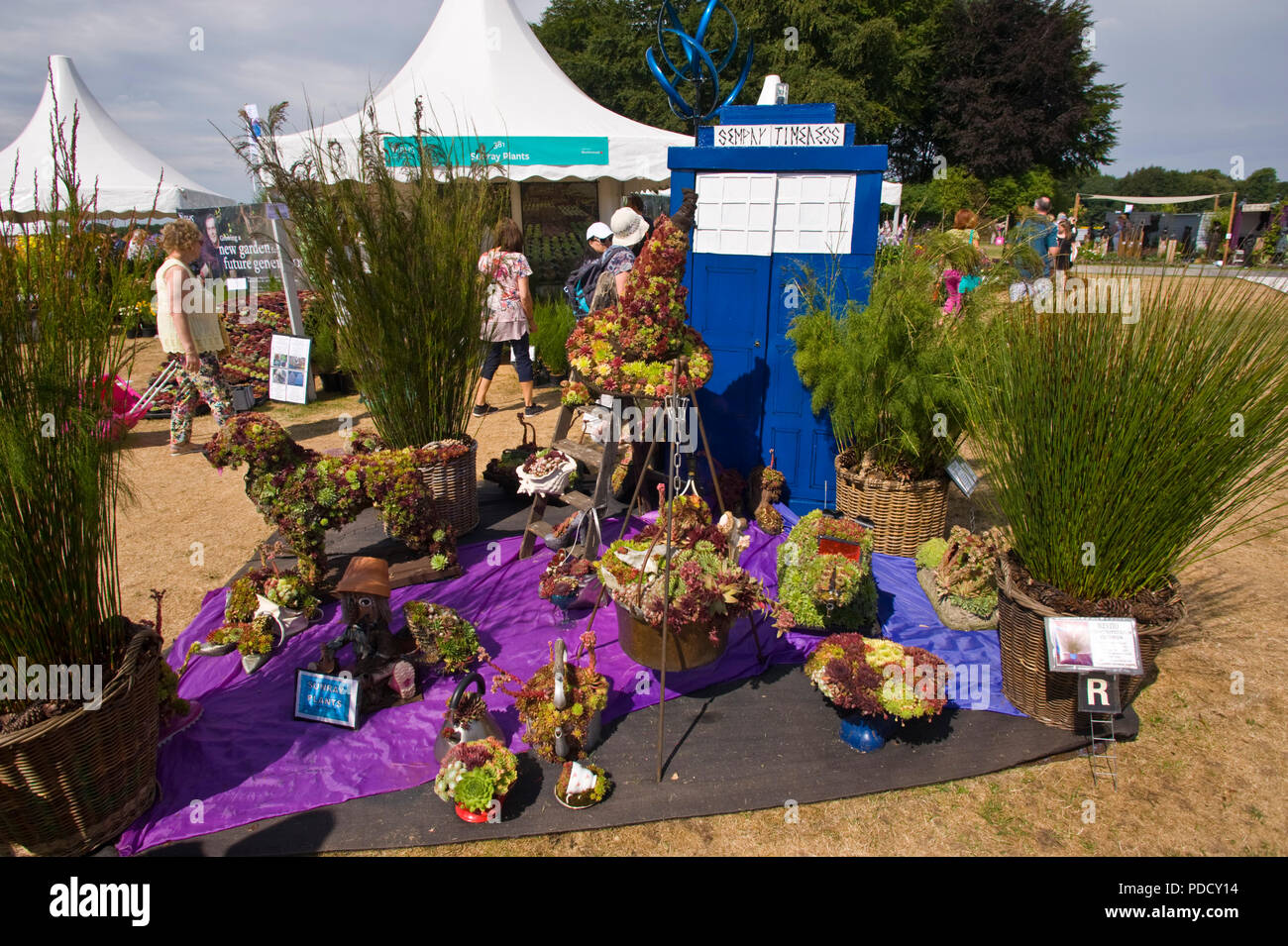 Giardino con un Dr che tema ad RHS Tatton Park flower show Cheshire England Regno Unito Foto Stock