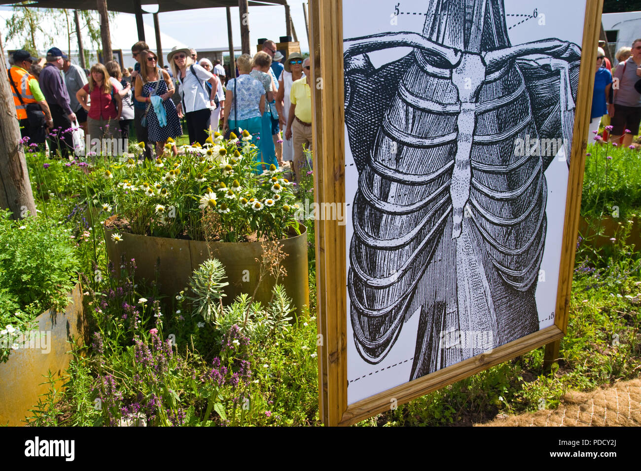 Il giardino velenosi a RHS Tatton Park flower show Cheshire England Regno Unito Foto Stock
