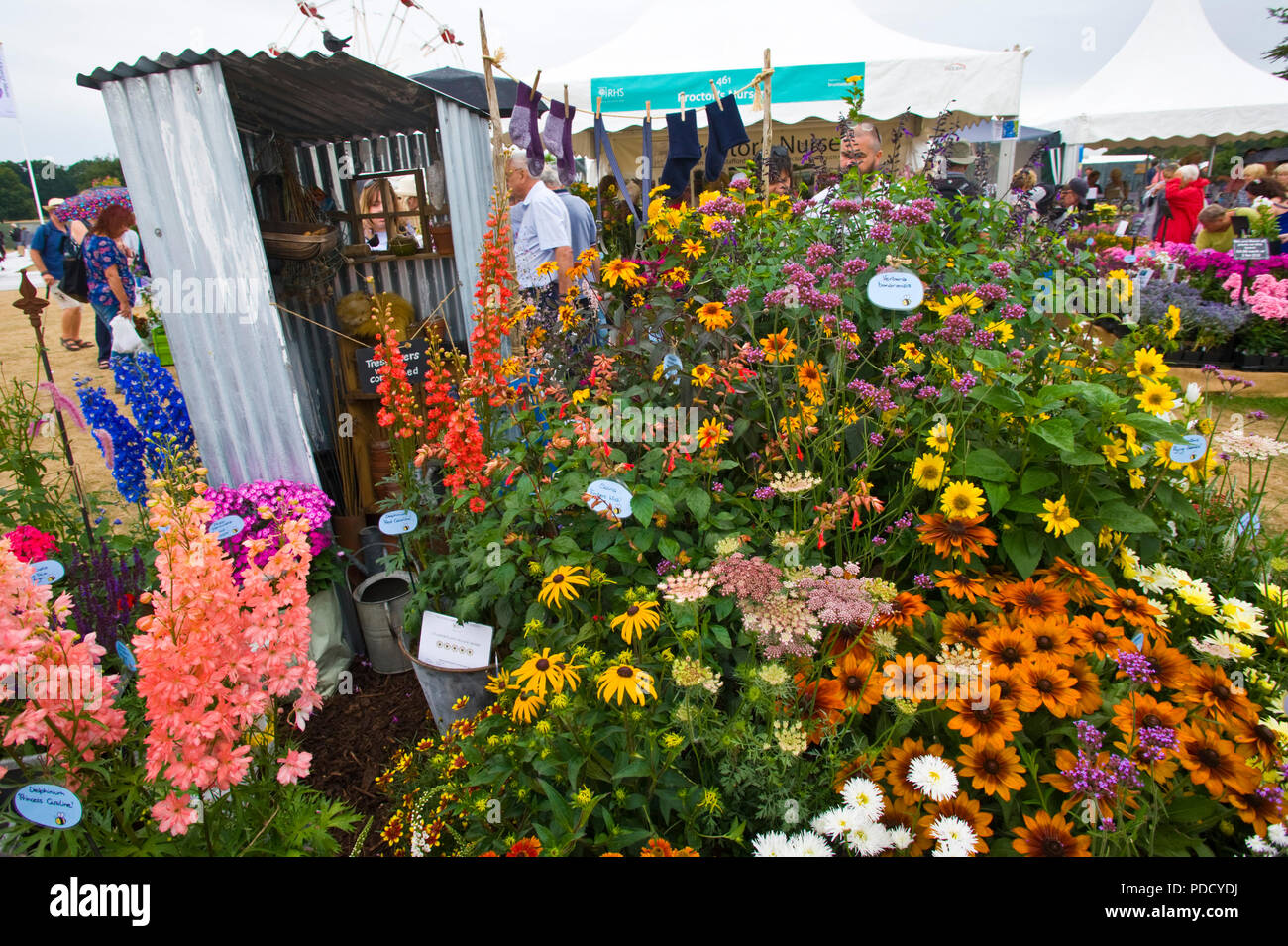 Pluripremiato giardino display a RHS Tatton Park flower show Cheshire England Regno Unito Foto Stock