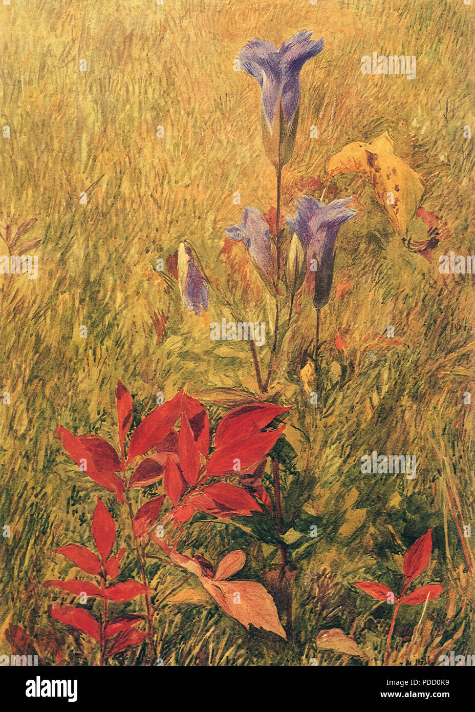 Fiori, foglie, erba, Hill, John Henry, 1867. Foto Stock